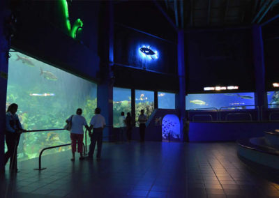 acuario-tour